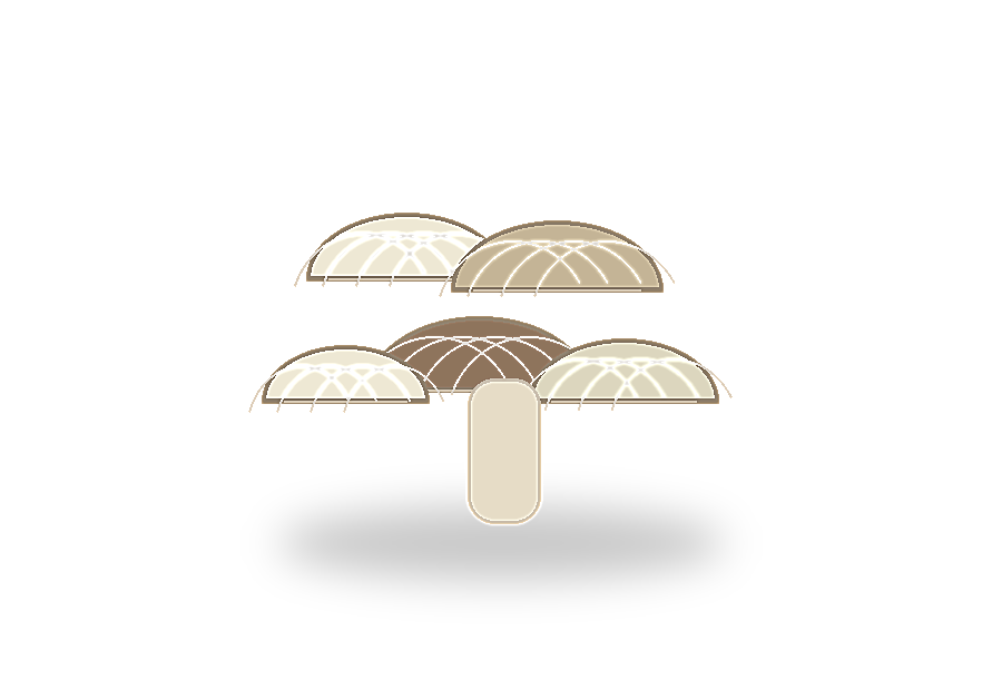 Ostra